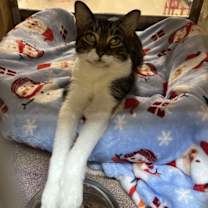 Thumbnail photo of Anne #3