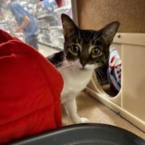 Thumbnail photo of Anne #4