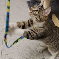 Thumbnail photo of AUTUMN #2