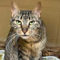 Thumbnail photo of Evie #2