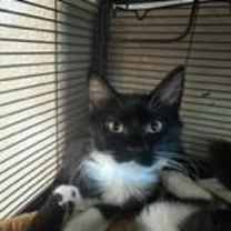 Thumbnail photo of Karma #2