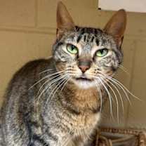 Thumbnail photo of Evie #1