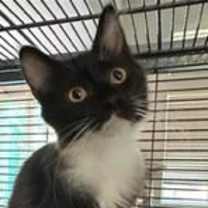 Thumbnail photo of Karma #1