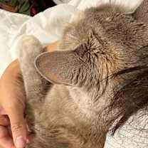 Thumbnail photo of Lexi #2