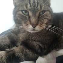 Thumbnail photo of Daniel #1