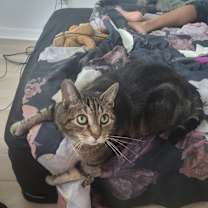 Thumbnail photo of Daniel #2