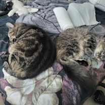 Thumbnail photo of Daniel #3