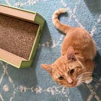 Thumbnail photo of Rusty #2