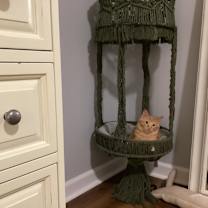 Thumbnail photo of Toby and Teddy #2