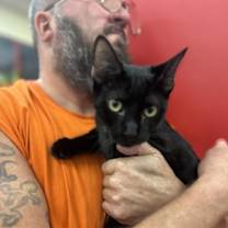 Thumbnail photo of Woodchuck ( SC) #2