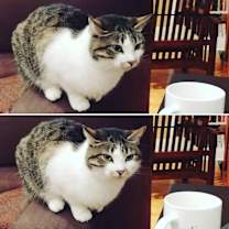 Thumbnail photo of Granger #1