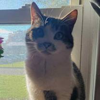 Thumbnail photo of Granger #2