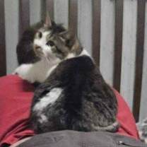 Thumbnail photo of Granger #3