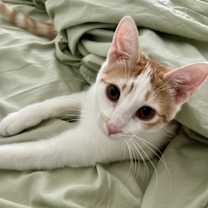 Thumbnail photo of Finley #4