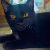 Thumbnail photo of Sky #1