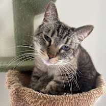 Thumbnail photo of GusGus #2