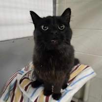 Thumbnail photo of Storm #1