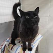 Thumbnail photo of Storm #2