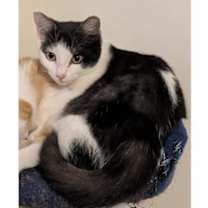 Thumbnail photo of Corey #3