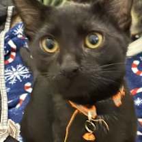 Thumbnail photo of Octavia S. #1