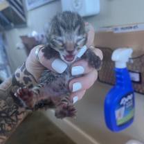 Thumbnail photo of Kimmy #2