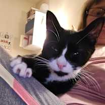 Thumbnail photo of Bianca #1