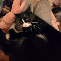 Thumbnail photo of Bianca #2