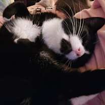 Thumbnail photo of Bianca #4