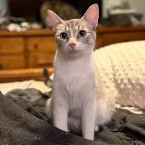 Thumbnail photo of Cider #1