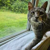 Thumbnail photo of Leroy Jenkins  #2