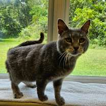 Thumbnail photo of Leroy Jenkins  #3