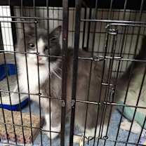 Thumbnail photo of Frederick #3