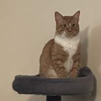 Thumbnail photo of Oliver #1