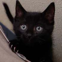 Thumbnail photo of Walter #1