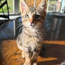 Thumbnail photo of Reggie #2