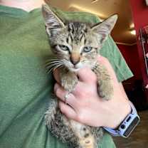 Thumbnail photo of Marco #2