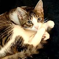 Thumbnail photo of Mimi #1