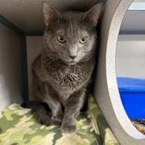 Thumbnail photo of Nino #1