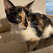 Thumbnail photo of Doodle #1