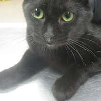 Thumbnail photo of Kit (669) #2