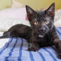 Thumbnail photo of Rudy #1