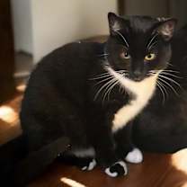 Thumbnail photo of Esmeralda #1