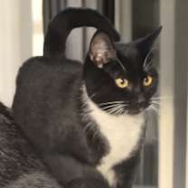 Thumbnail photo of Esmeralda #4