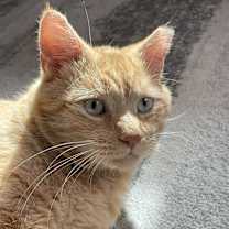 Thumbnail photo of Boy #1