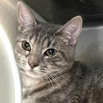 Thumbnail photo of Sonja #1