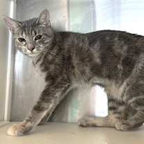 Thumbnail photo of Sonja #2