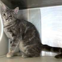 Thumbnail photo of Sonja #3