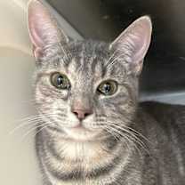 Thumbnail photo of Sonja #4