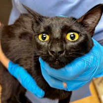 Thumbnail photo of Thirty Two #2