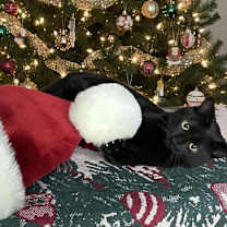 Thumbnail photo of Jacques #2